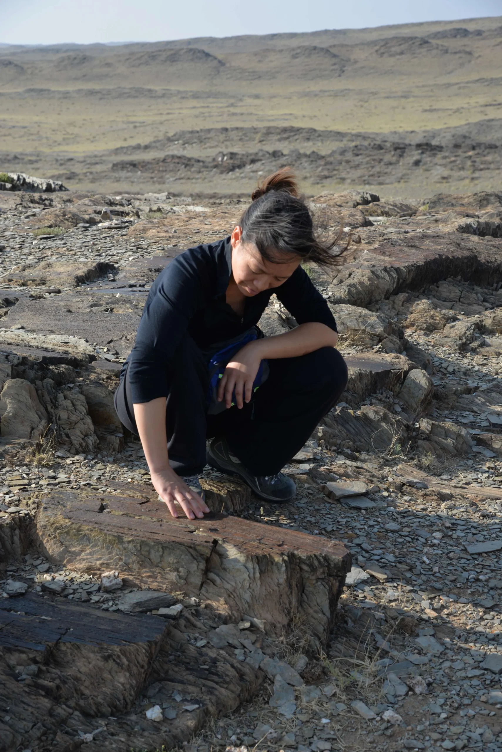 Checking Petroglyphs