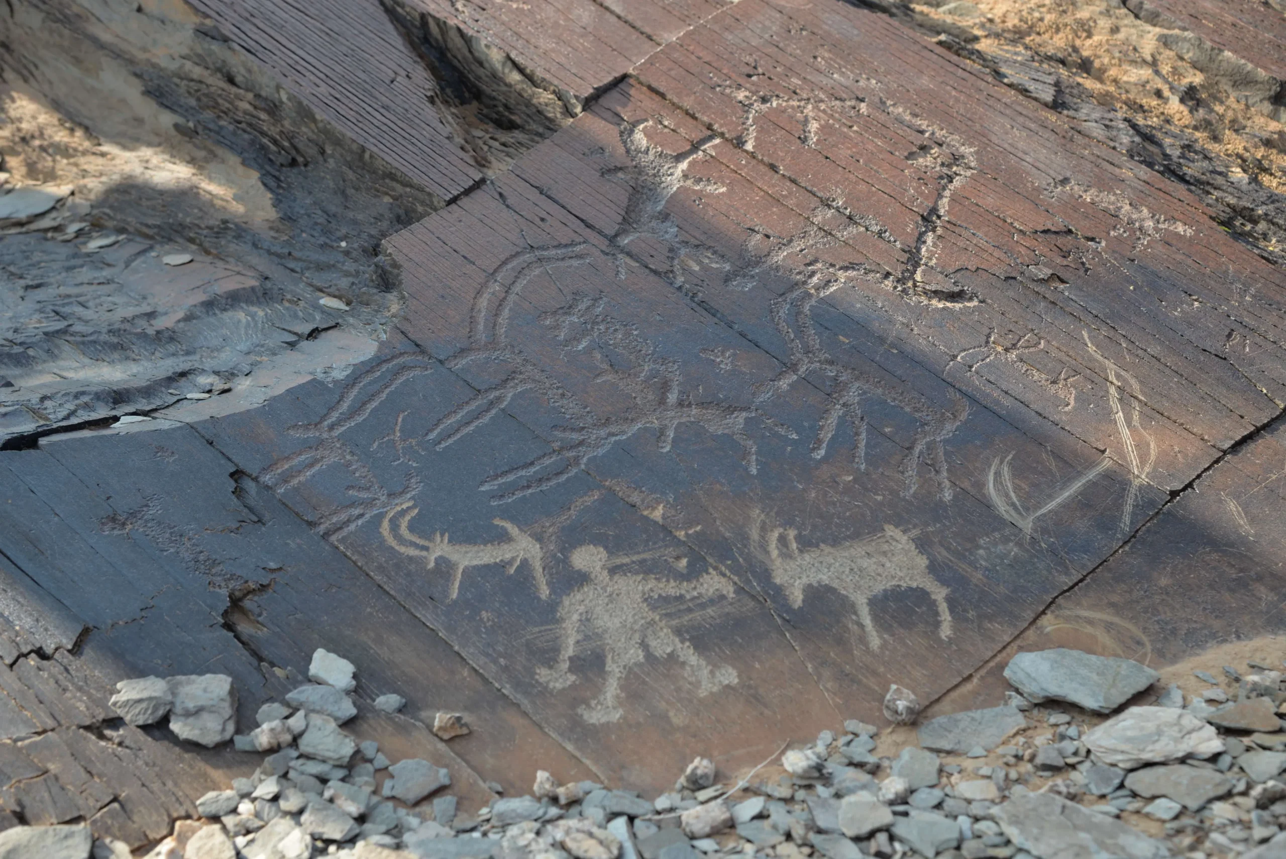 Paradise of Petroglyphs, ibex