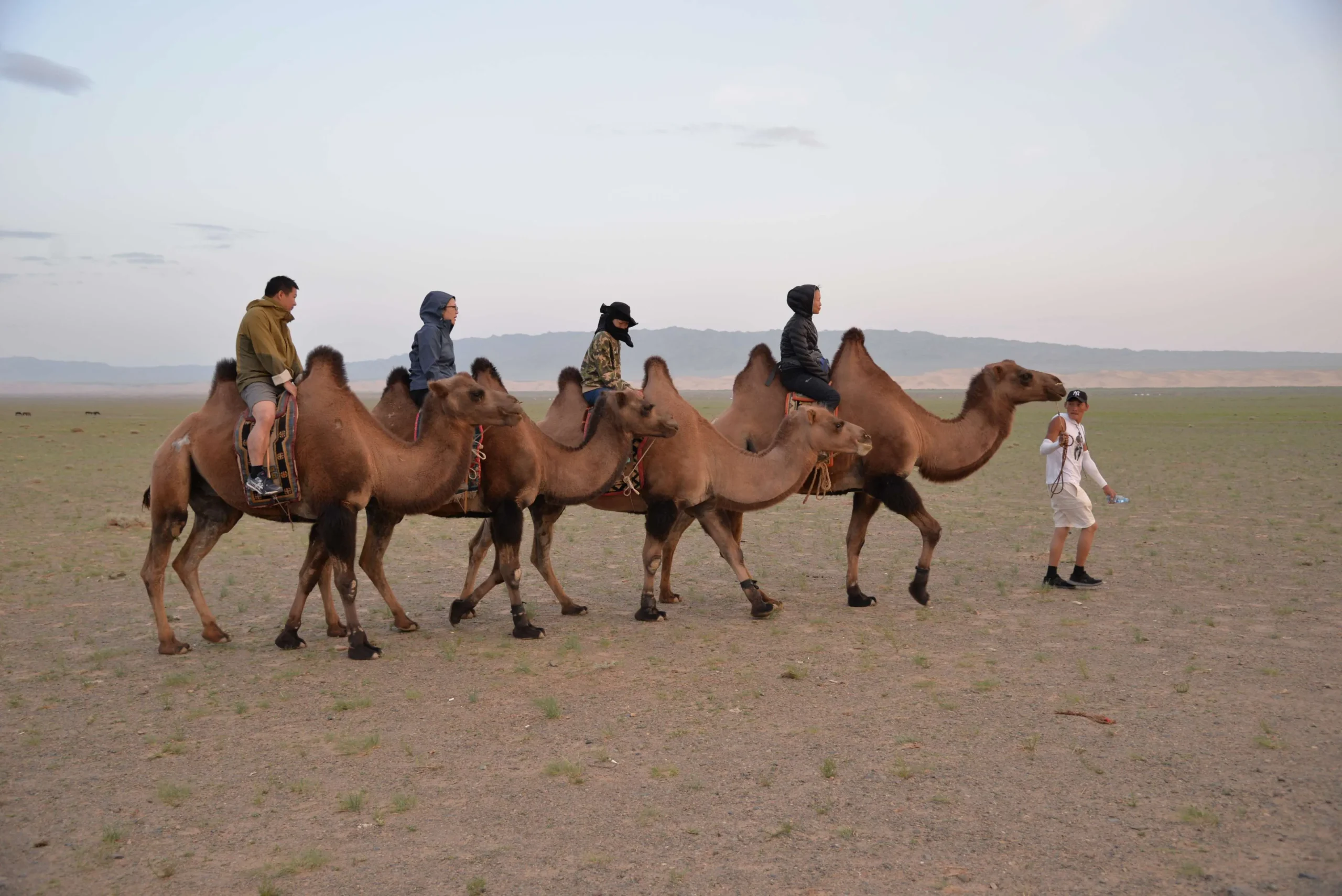 Riding camels and having fun