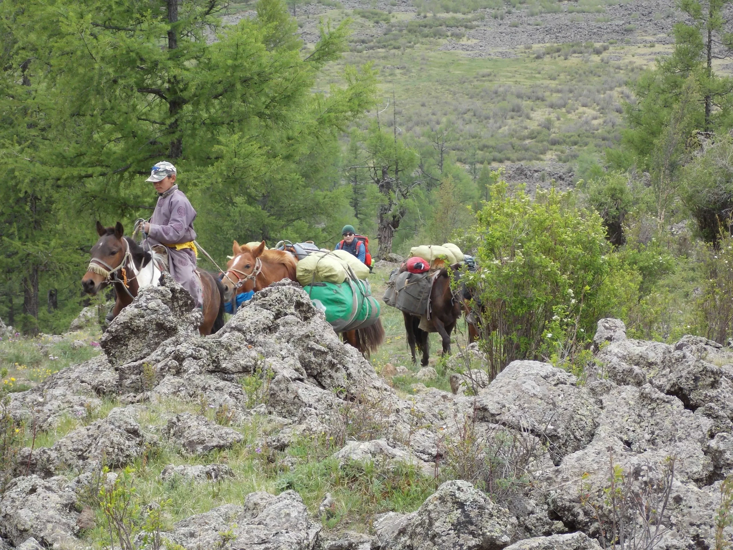 Horse riding in 8 lake area with Suir, son of Ochir
