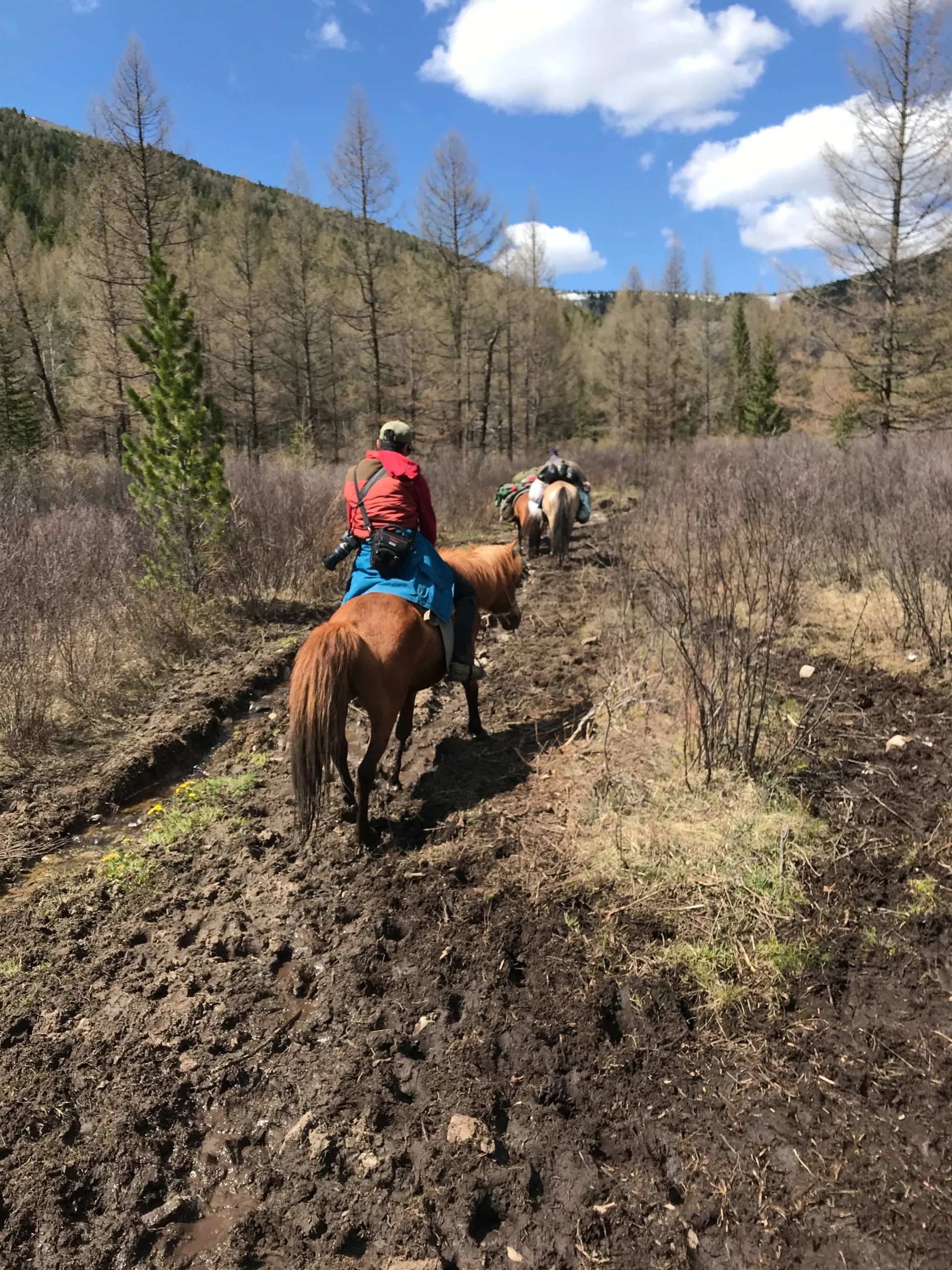 Muddy terrain, in Taiga