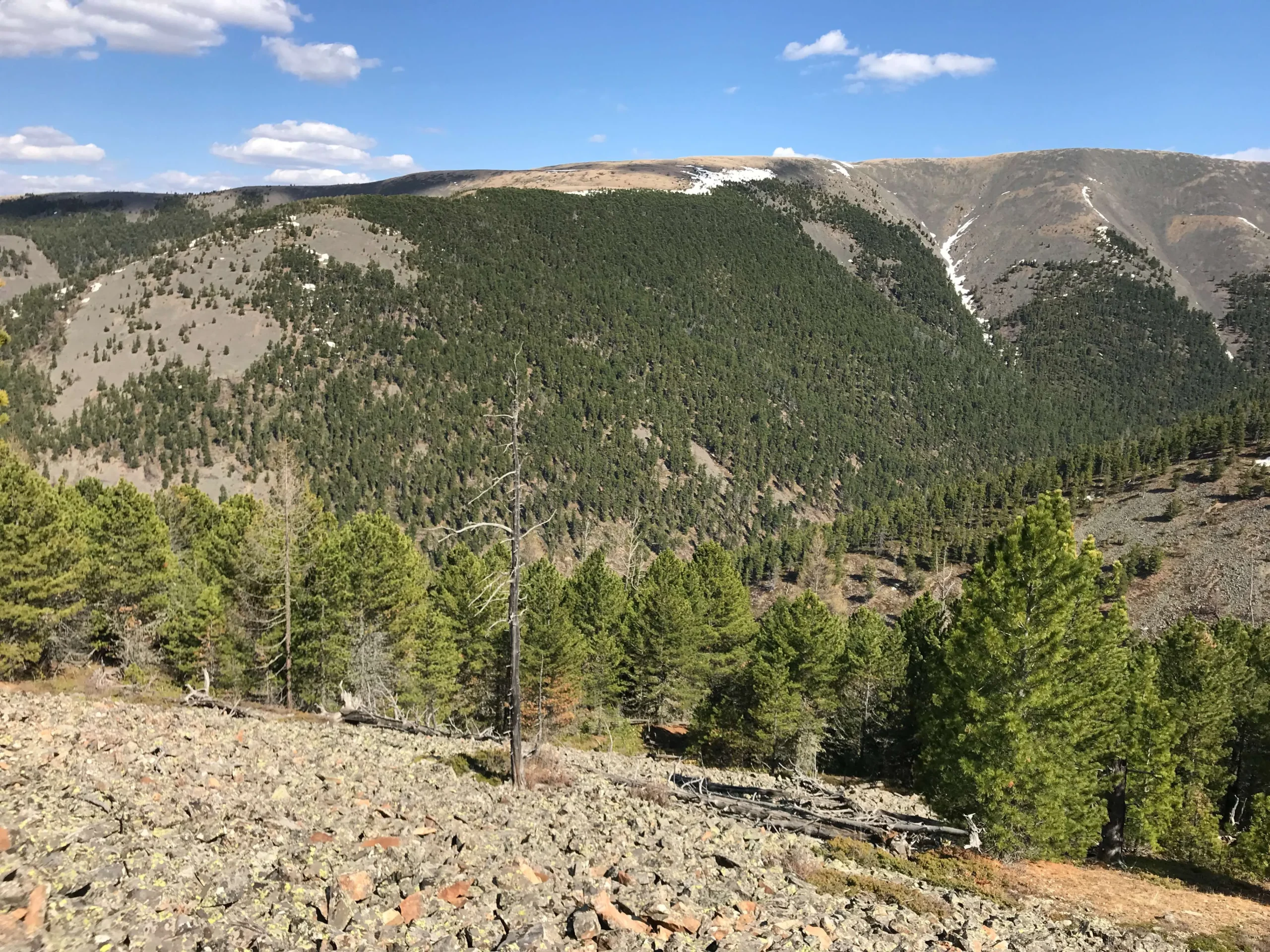 Rocky terrain, in Taiga