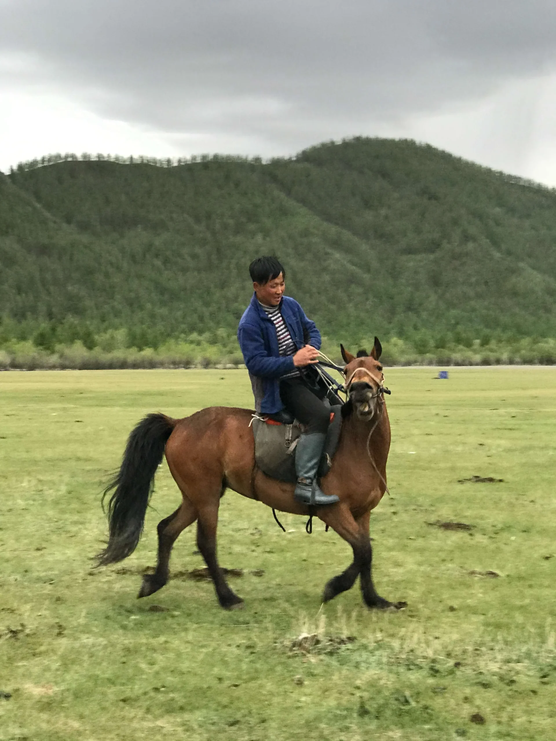 Ulaanaa the horseman, show time