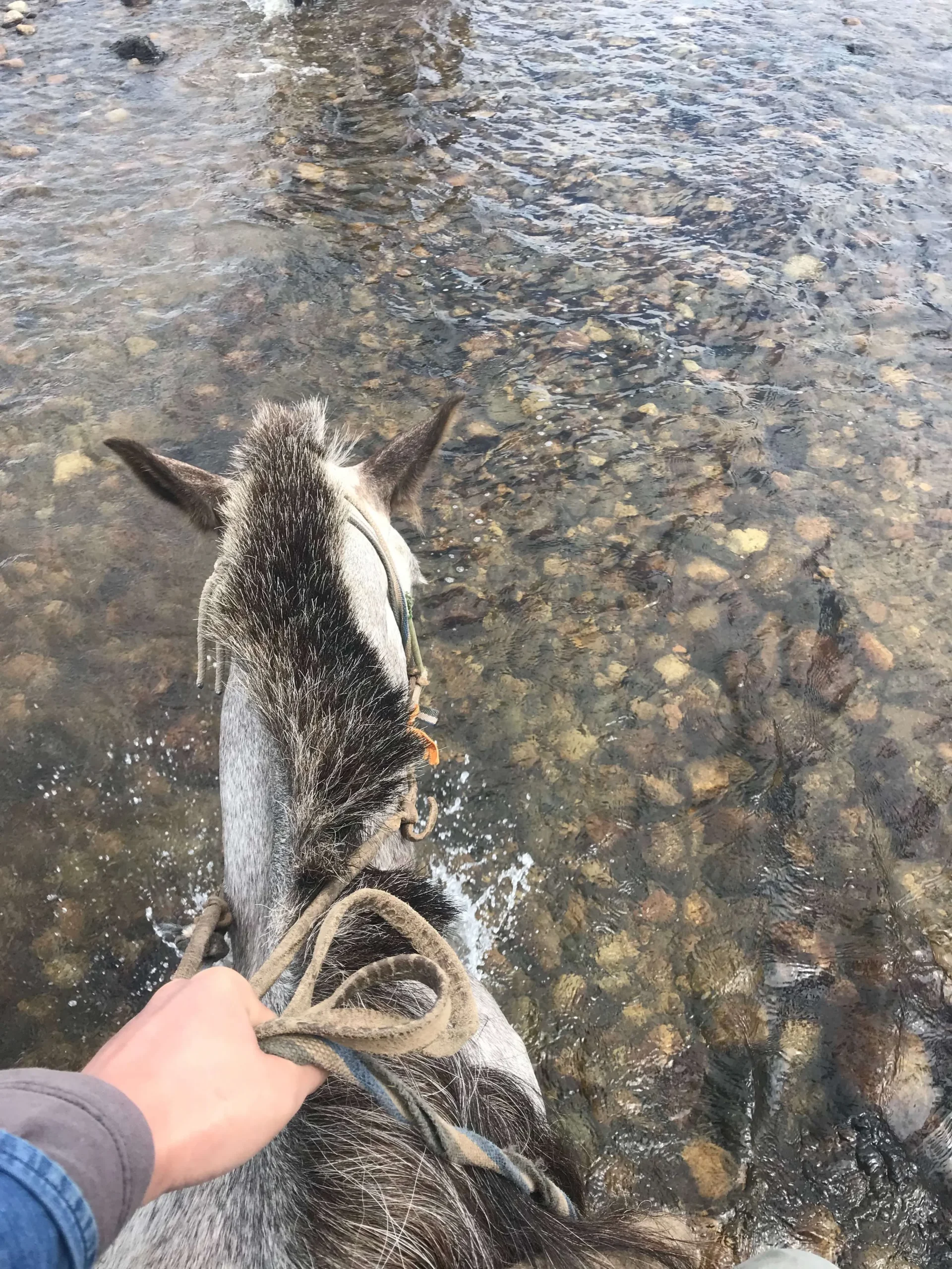 Across river by horse, Orkhon river