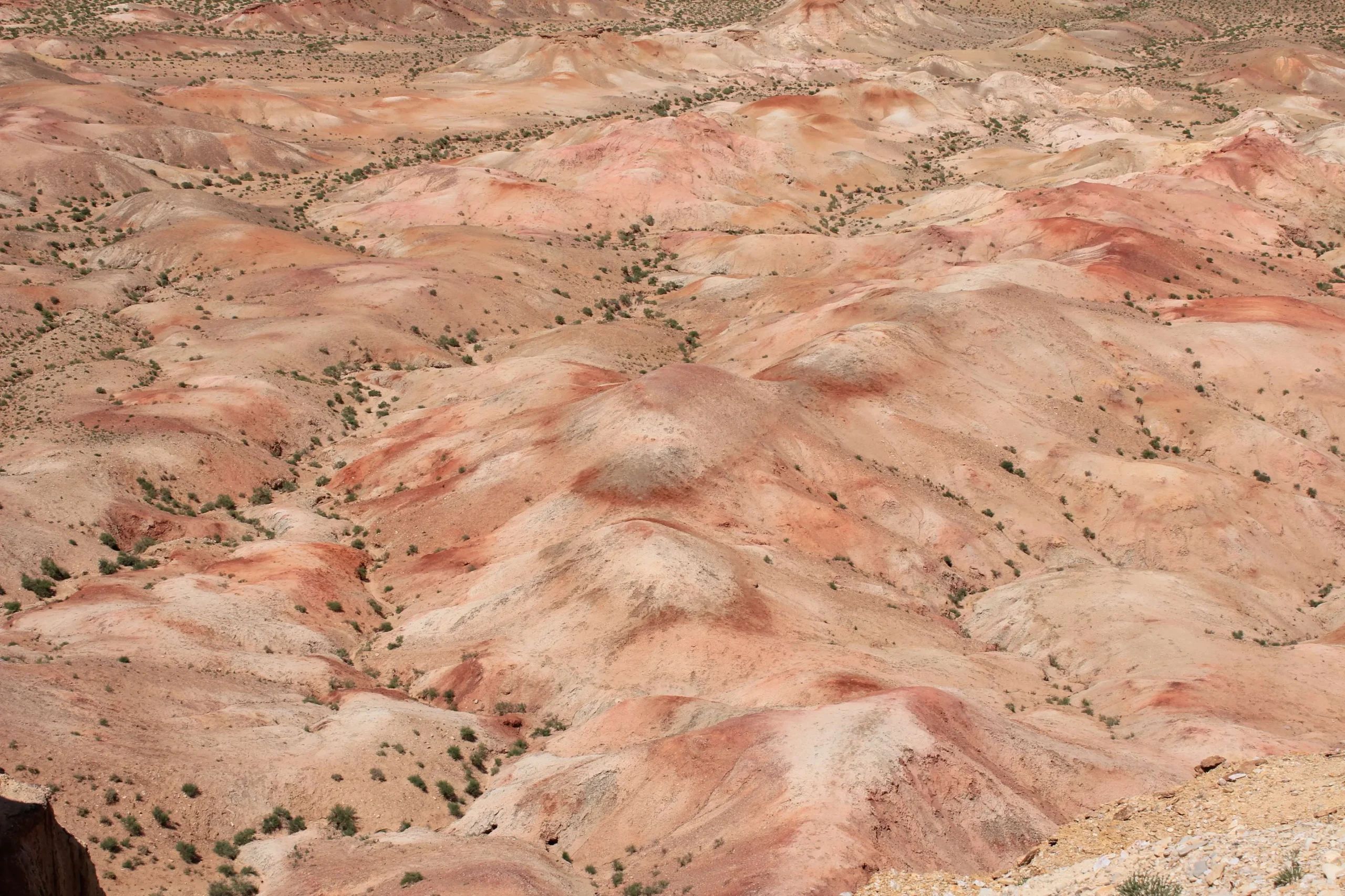 View from top of TSagaan suvarga