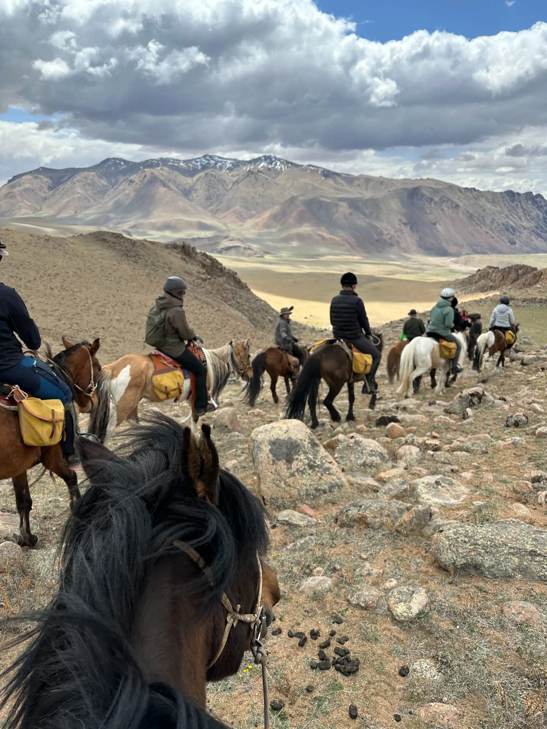 Horse trekking in Altai mountains