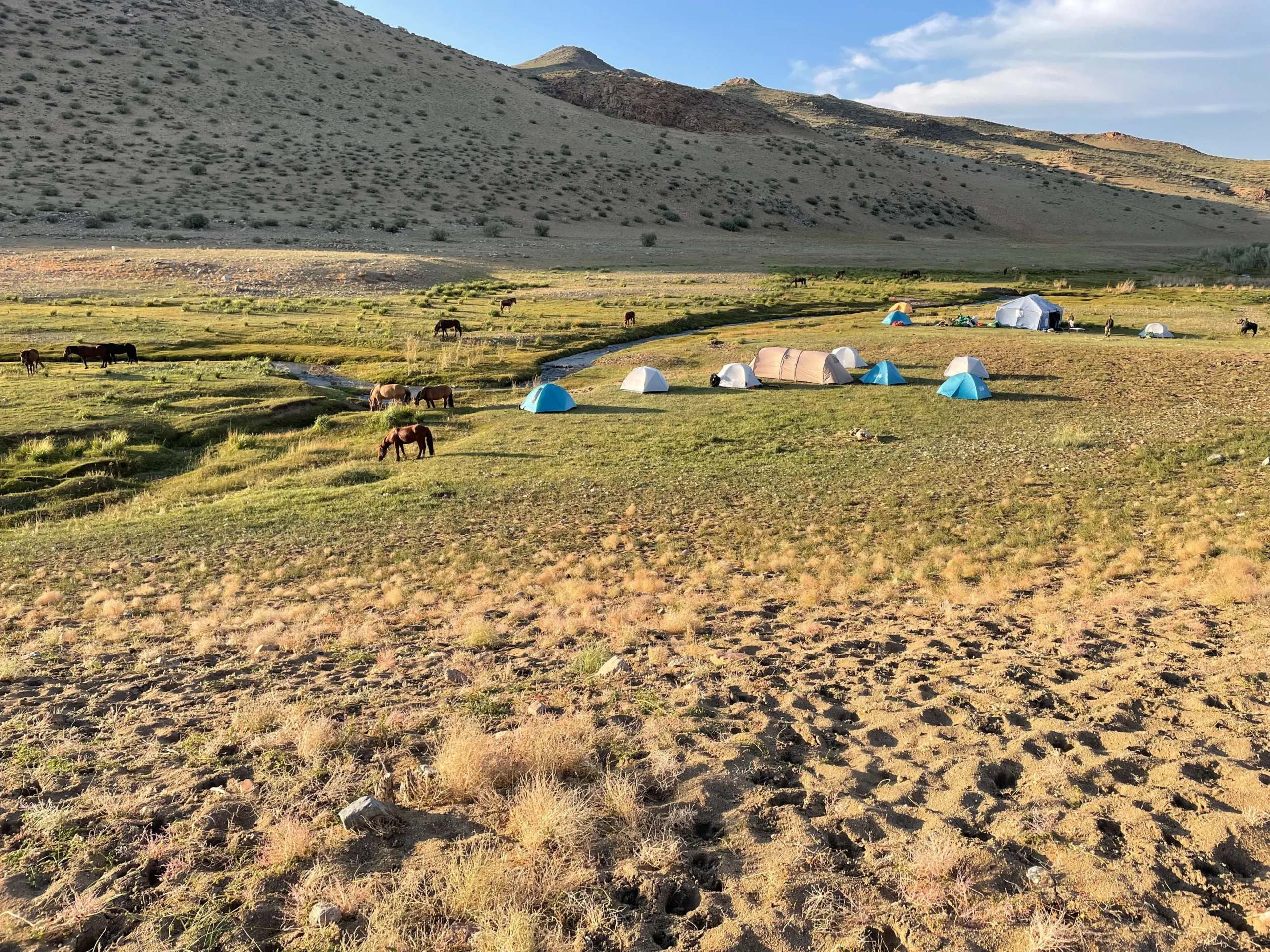 Oasis little river, sands and tents