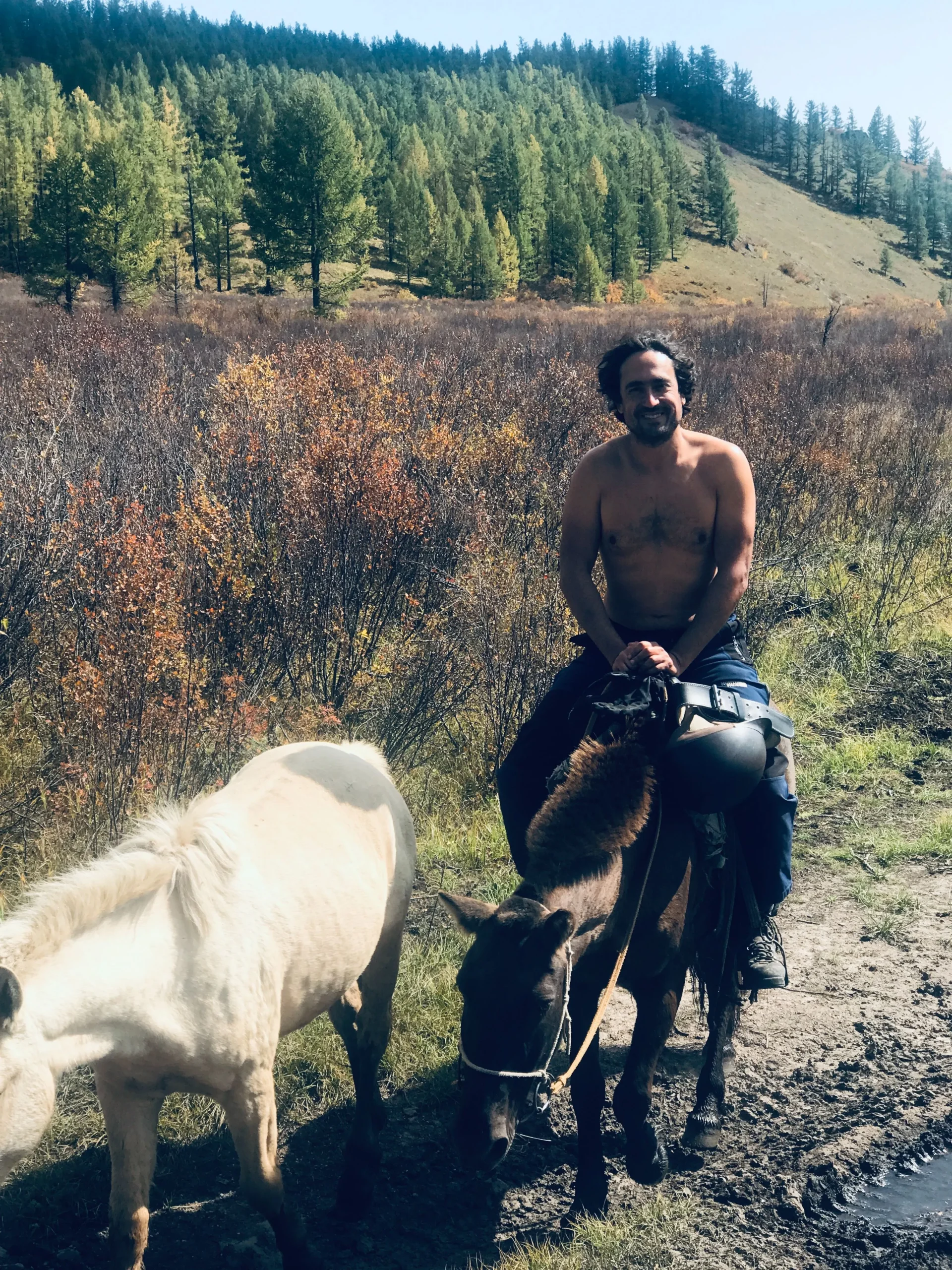 Horse riding in hot day, in Terelj Nation park