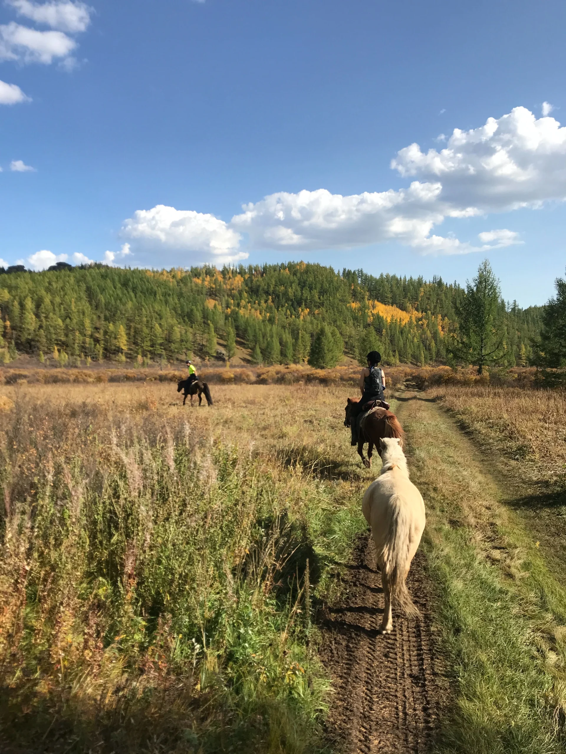 Horse trails in Terelj National park