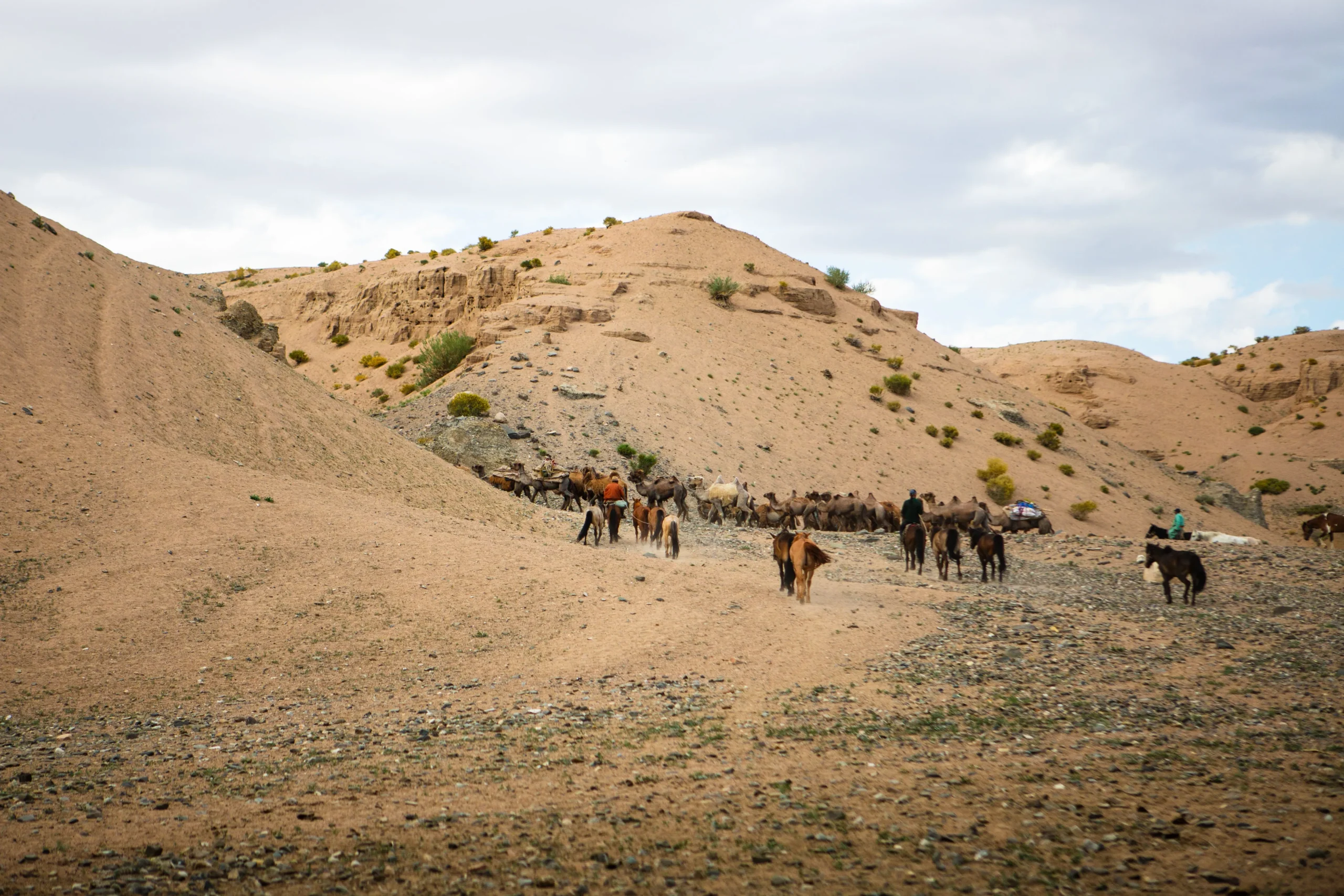 It is time to say goodbye to horsemen, and horses and camels