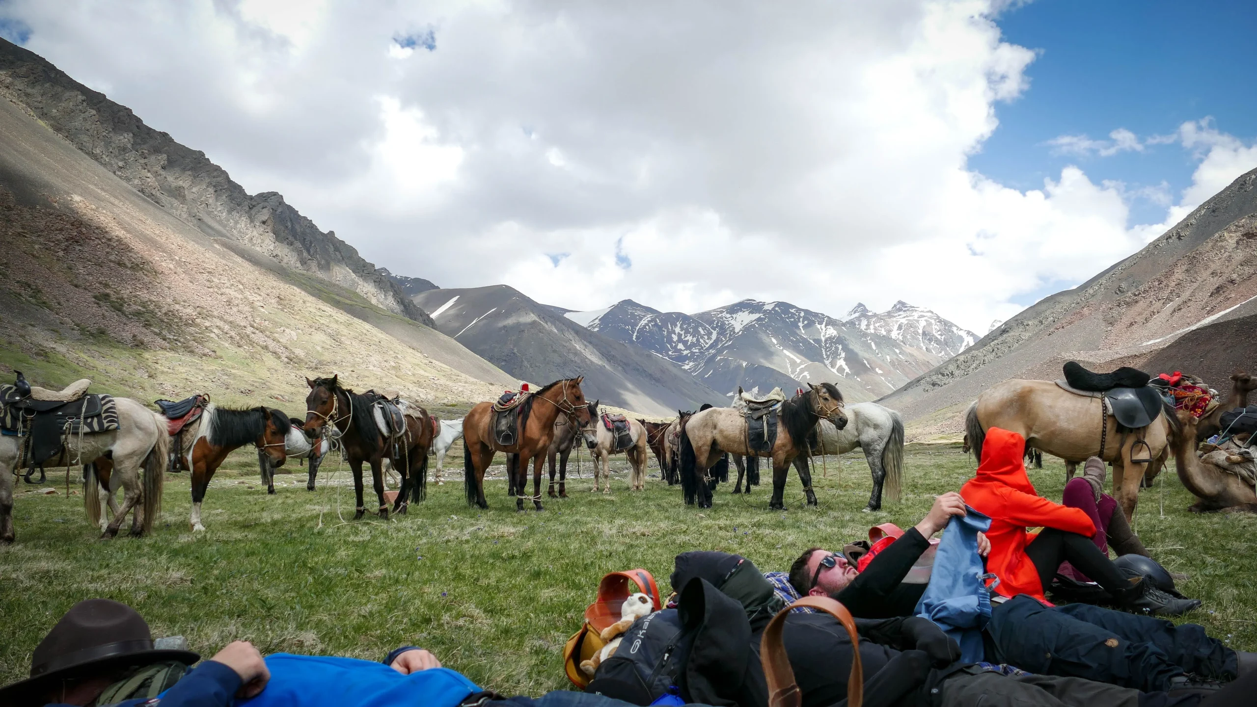 Power nap after lunch, horses are waiting to continue