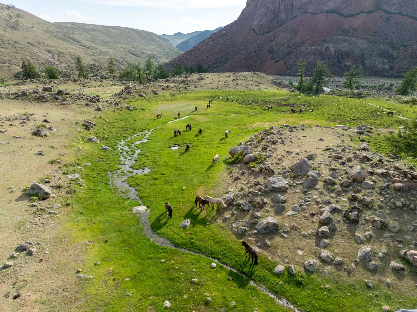 Oasis stream in huge Valley, Khargait